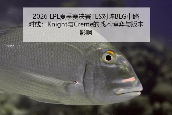 2026 LPL夏季赛决赛TES对阵BLG中路对线：Knight与Creme的战术博弈与版本影响